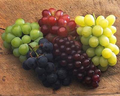 葡萄加工生產(chǎn)線