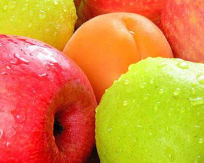 蘋果、梨加工生產(chǎn)線